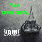 📅 Plan Trimestral – Resultados a mediano plazo