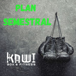 📆 Plan Semestral – Medio año de progreso