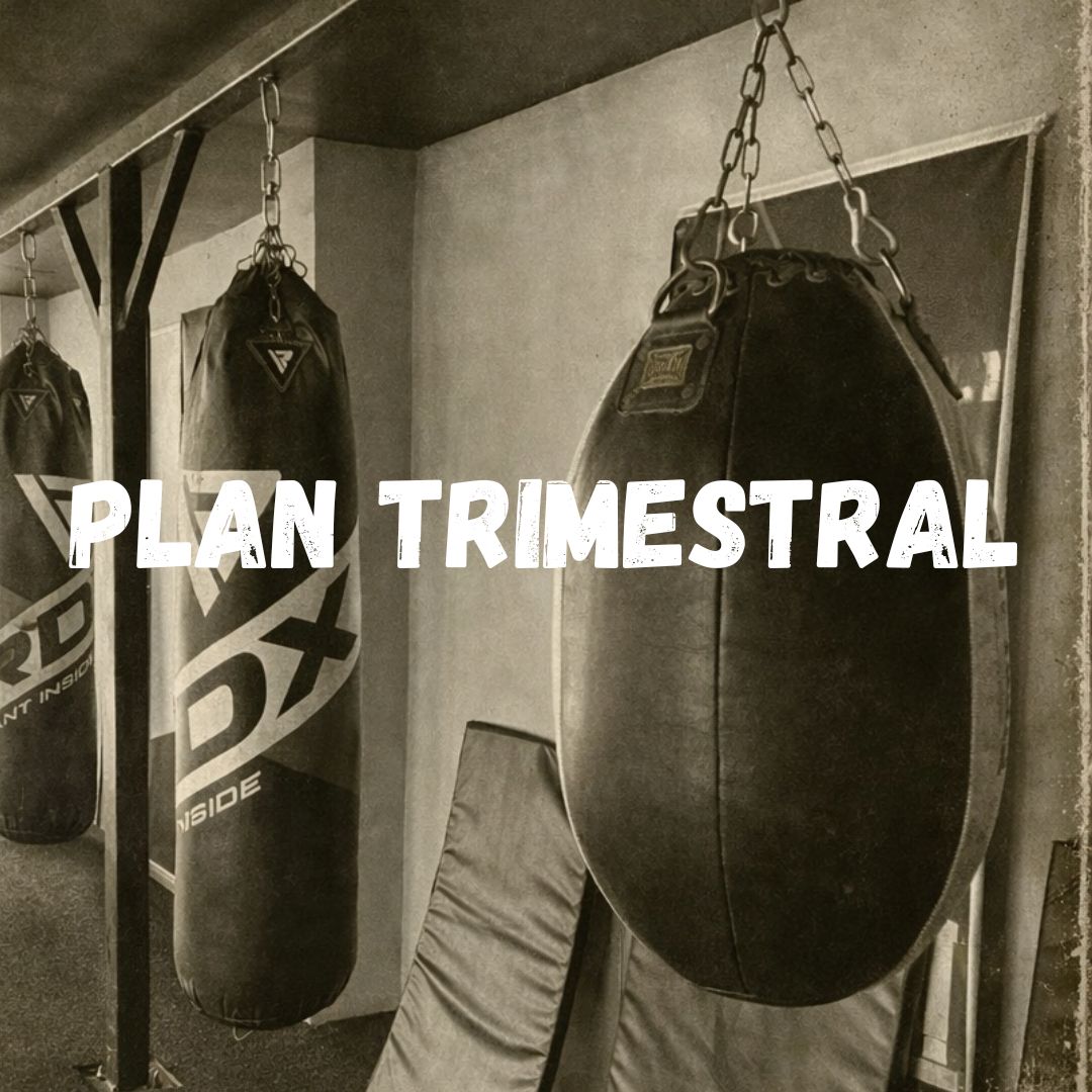 📅 Plan Trimestral – Promo de Fin de Año