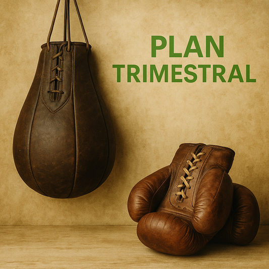 📅 Plan Trimestral – Resultados a mediano plazo