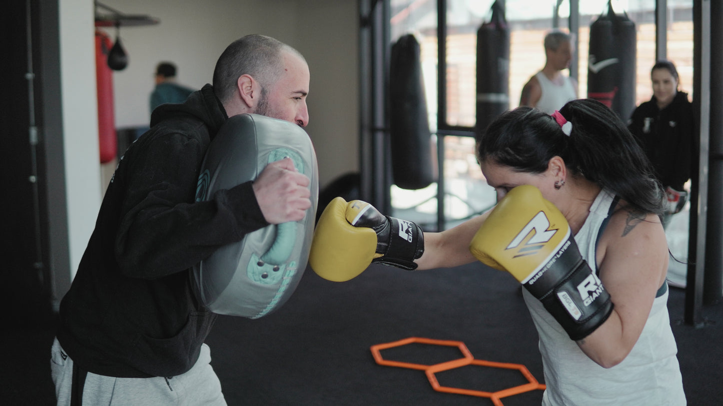 📅 Plan Trimestral – Promo de Fin de Año